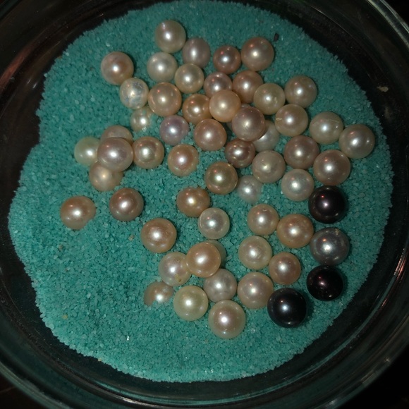 -SOLD- - Picture 4 of 8